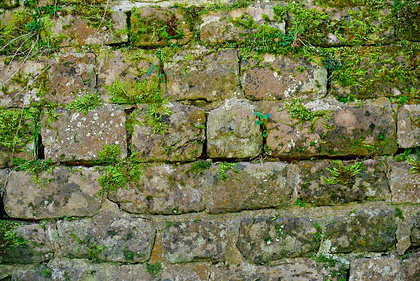 istock Medieval wall of a castle 499783091