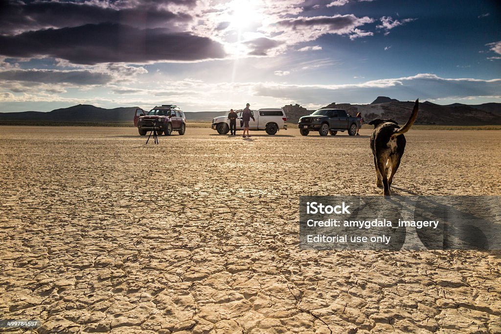 Paisaje del desierto de la tripulación y perros - Foto de stock de Documental - Película libre de derechos
