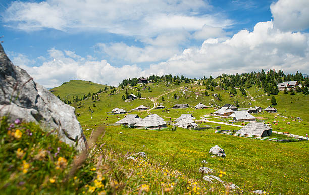 istock Velika planina, Slovenia 499786003