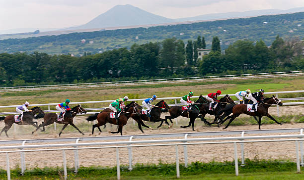 hippodrome de pyatigorsk. - horse horse racing animal head horseracing track photos et images de collection