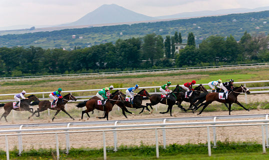 The race for the prize of the Elita in Pyatigorsk,Northern Caucasus,Russia.