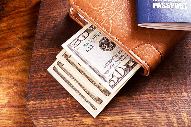 istock Money and international passport 499803358