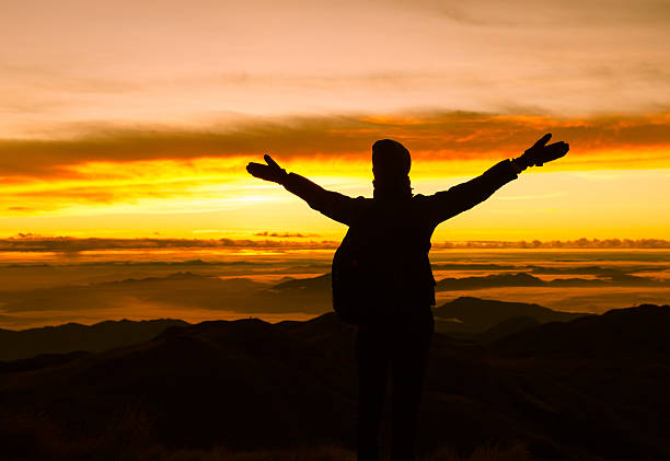 istock Mountain climber celebrating at the peak. 499804308