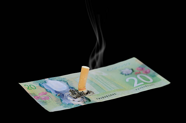istock Cigarette Butt out on $20 Bill, Burning Money - black 499805504