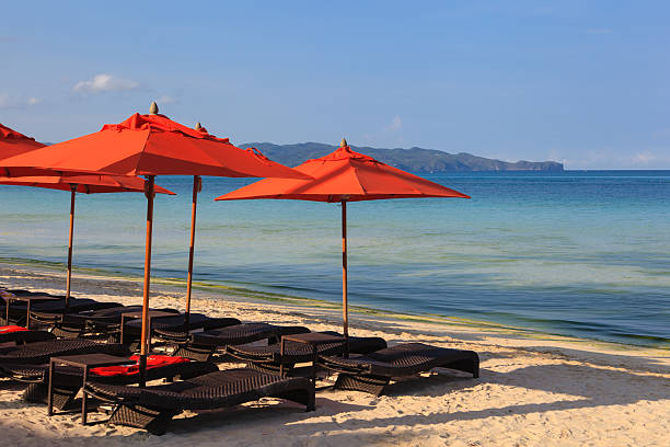 istock chairs and palms on tropical sand beach 499806199
