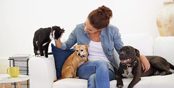 Shot of a beautiful young woman relaxing on the couch with her dog and cathttp://195.154.178.81/DATA/i_collage/pi/shoots/783489.jpg