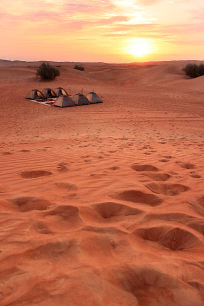istock Tents set up in the campsite 499806682