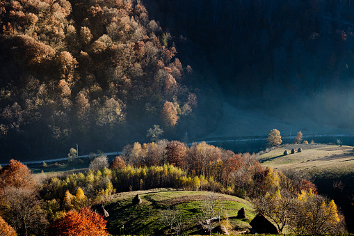 Autumn in Romania Carpatian mountains in the background