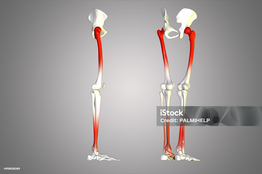 Moderno con las piernas - Foto de stock de Articulación libre de derechos