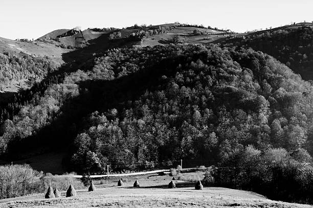 Autumn in Romania Carpatian mountains in the background