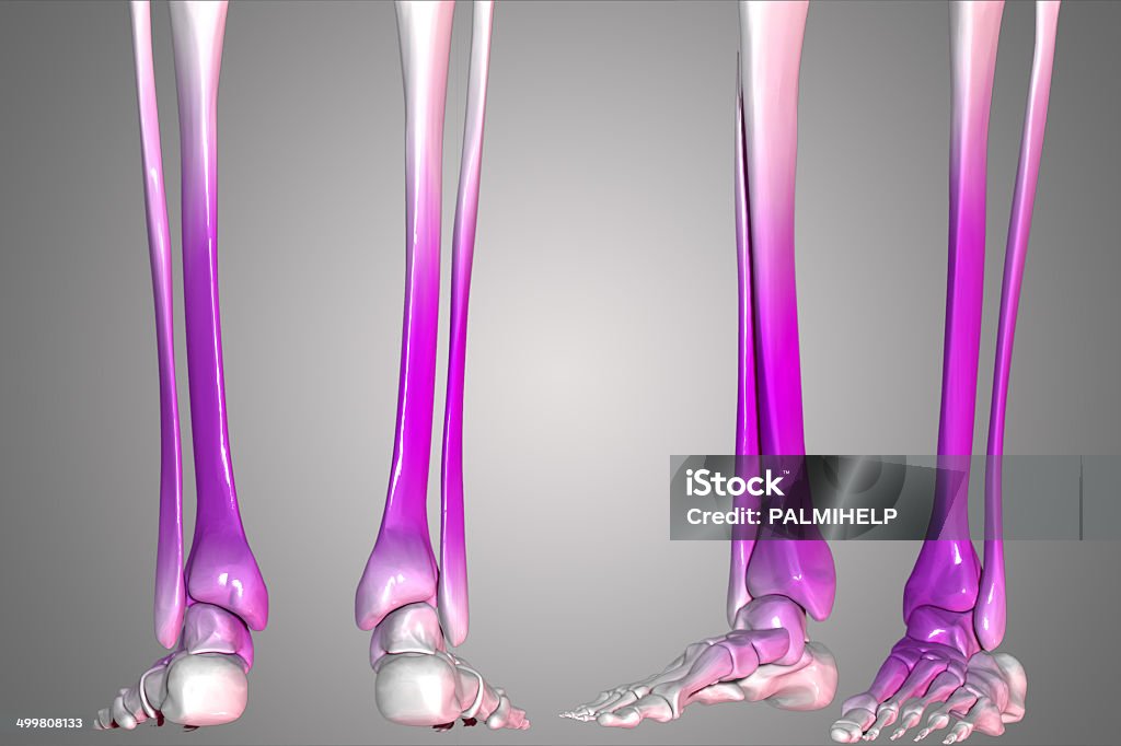 Ноги человека - Стоковые фото Безымянная кость роялти-фри