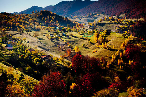 istock Autumn in Romania 499808384