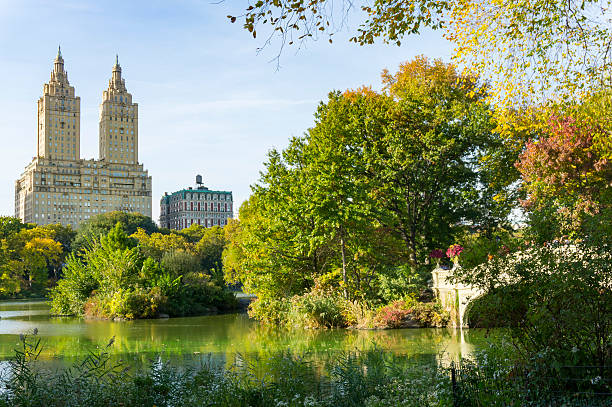istock Central Park New York The lake 499809142