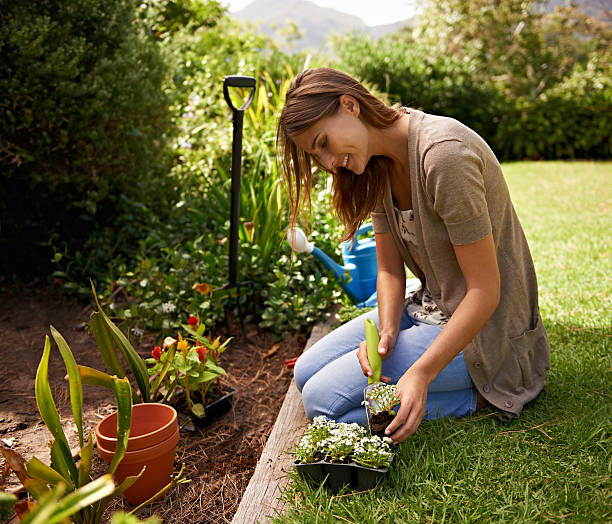 die sorgfältige nicht zu beschädigen pflanzen - formal garden flower bed women grass stock-fotos und bilder