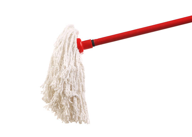 istock Closeup of red cleaning mop. 499809713