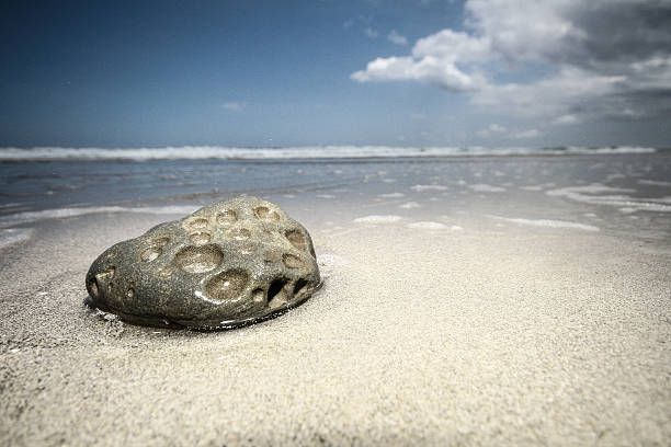 Stone in the sea