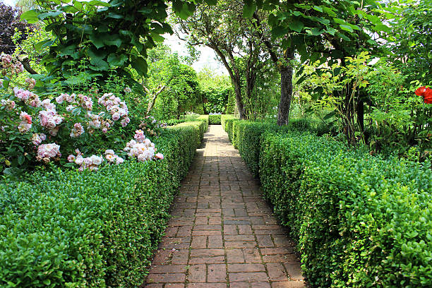 istock Image of old red brick pathway, formal ornamental vegetable garden 499810399