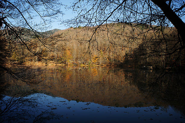 istock reflection of autumn trees on a lake 499810648