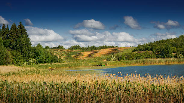 panorama de verano - masuren fotografías e imágenes de stock