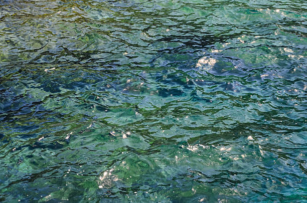 istock Detailed Texture Of Sea Water 499813070