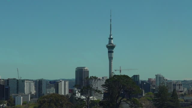 Sky tower and Auckland CBD Skyline