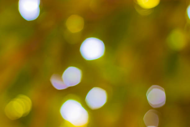 istock bokeh blurred out of focus background 499840893