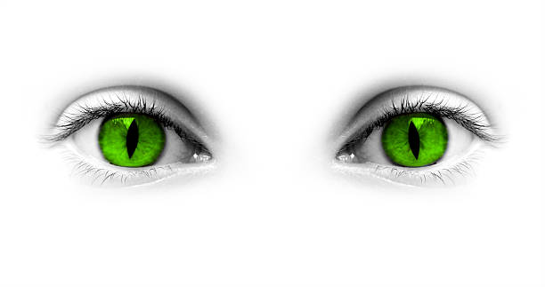 Catwoman green green isolated on white background