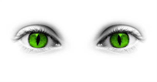 catwoman verde verde, isolado no fundo branco - eyeball human eye animal eye bizarre - fotografias e filmes do acervo