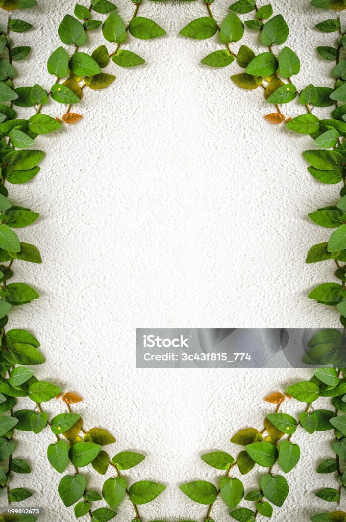 Concept keeper green leaves wall background Abstract Stock Photo