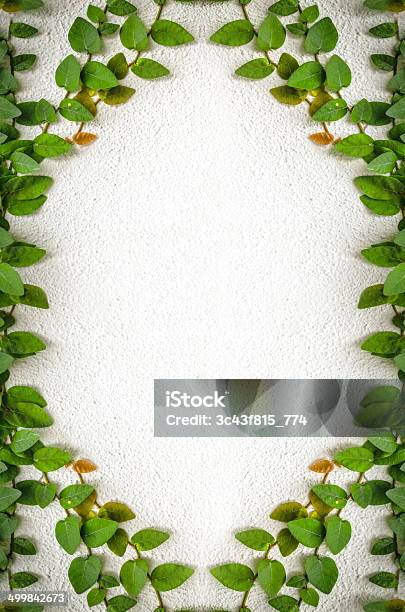 Concept Keeper Green Leaves Wall Background Stock Photo - Download Image Now - Abstract, Accidents and Disasters, Agricultural Field