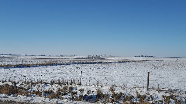 istock Snowy Corn Field in Iowa in Winter 499842938