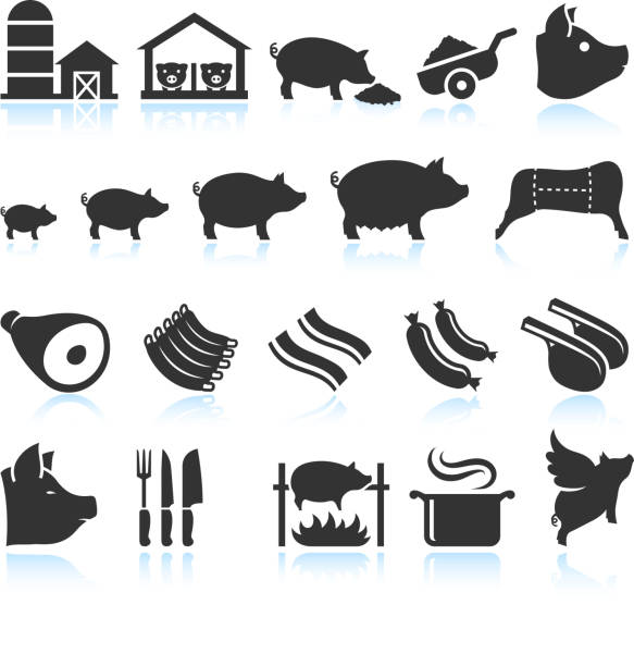 ферма свинья жизненный цикл и приготовление пищи набор - spit roasted pig roasted food stock illustrations