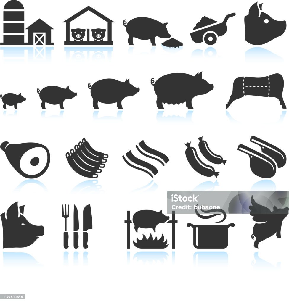 Farm Pig Live Cycle and Food Preparation Set Farm Pig Life Cycle and Food Preparation Set Pig stock vector