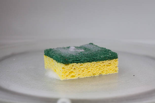 green and yellow sponge in microwave stock photo