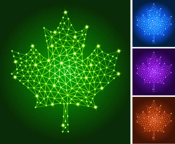 Maple Leaf on triangular nodes connection structure vector art Maple Leaf on triangular nodes connection structure. The line art indicates internet connection, molecular structure, node connection and flowing energy. This modern technology is ideal for information architecture and connectivity drawings. Glowing circles in blue, red, purple and green are included in icon download of vector art and jpg file. circuit-board-seamless-pattern-black-and-white stock illustrations