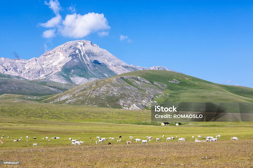 Mountain Pâturage Campo Imperatore, Province de l'Aquila, Abruzzes, Italie - Photo de Abruzzes libre de droits