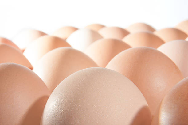 istock Row of Chicken Eggs background. 499846650