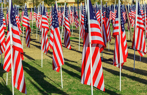 American flags display