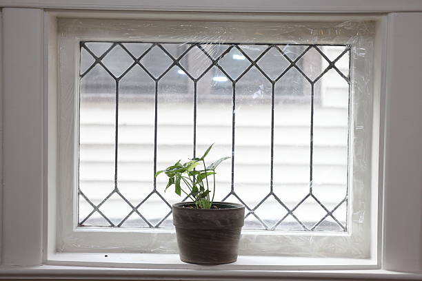 istock green potted plant in white room 499847418