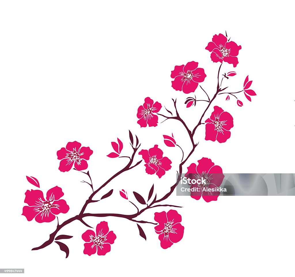 Gambar Ranting Rosa Sp Bunga Sakura Ranting Ilustrasi Stok - Unduh Gambar Sekarang - 2015 ...