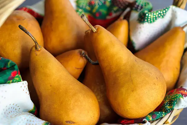 Photo of Bosc Pears