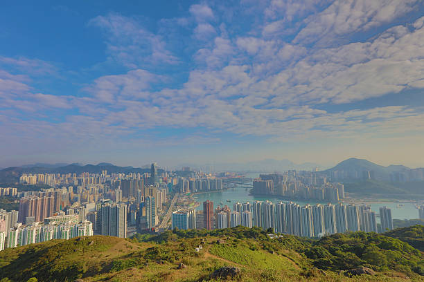 istock Downtown Kowloon Hongkong from Tsuen Wan 499848540