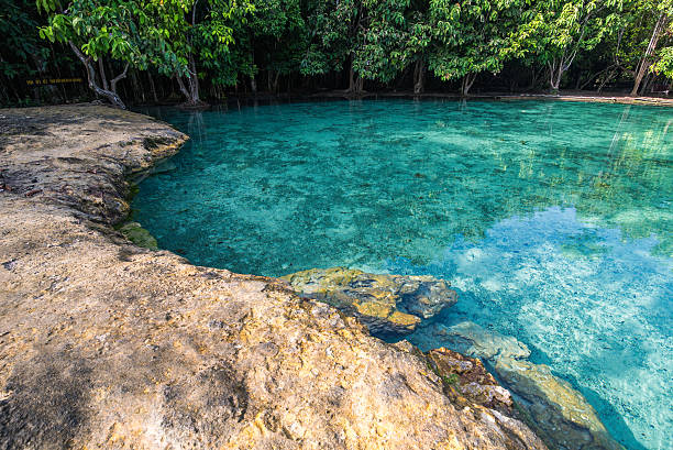 istock Emerald pool at Krabi Thailand 499849436