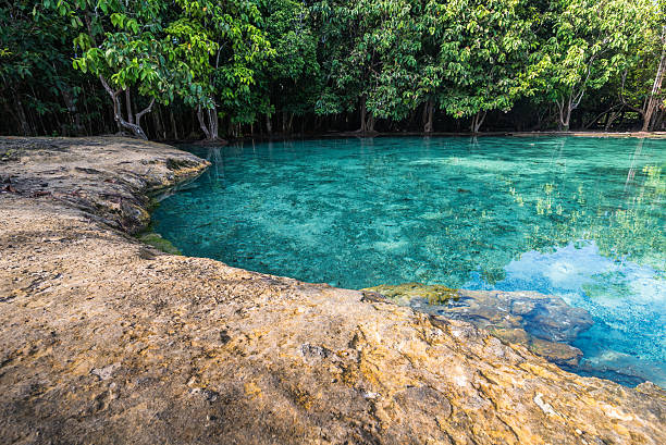 istock Emerald pool at Krabi Thailand 499849528