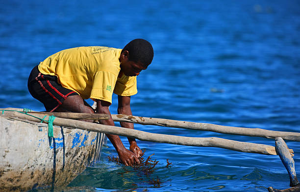мадагаскар: рыбалка в мозамбике канала - ifaty стоковые фото и изображения
