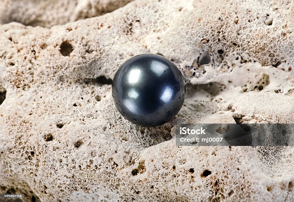 Black Tahitian Pearl. Large black Tahitian pearl on white coral. Black Pearl Stock Photo
