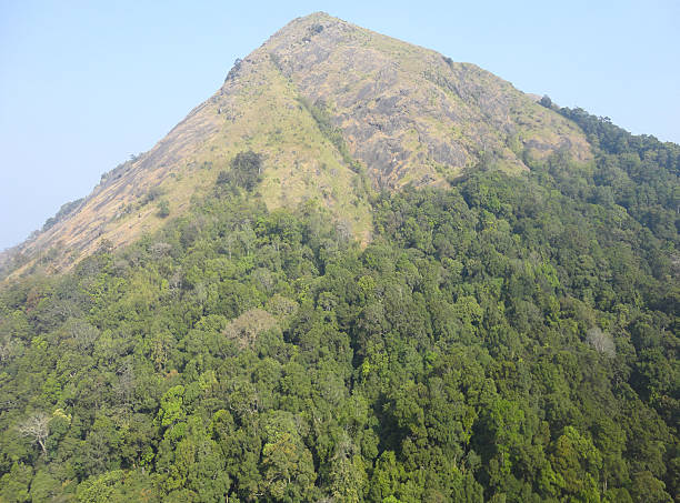 KERALA stock photo