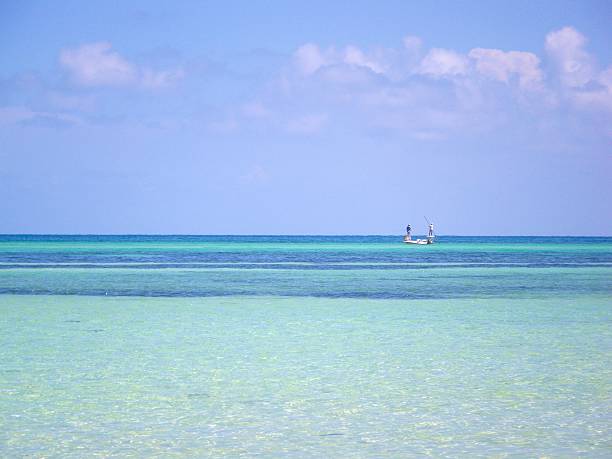 pesca en las teclas - bonefish fotografías e imágenes de stock