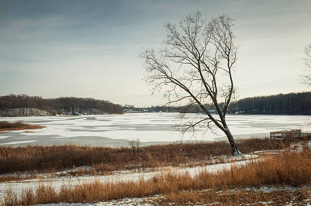 istock Nature Preserve in Ohio 499869303