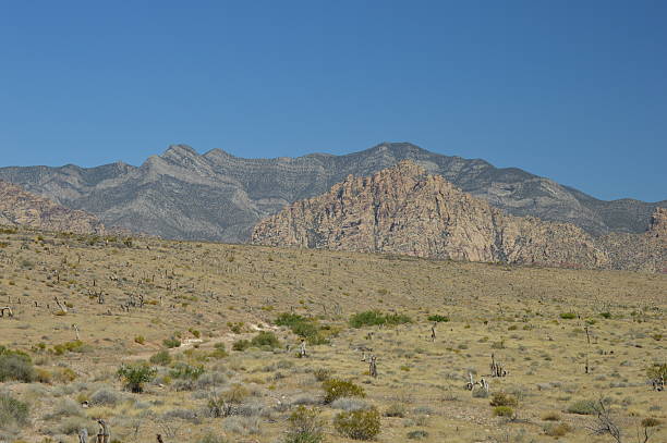 canyon di roccia rossa - heat haze illusion desert heat foto e immagini stock